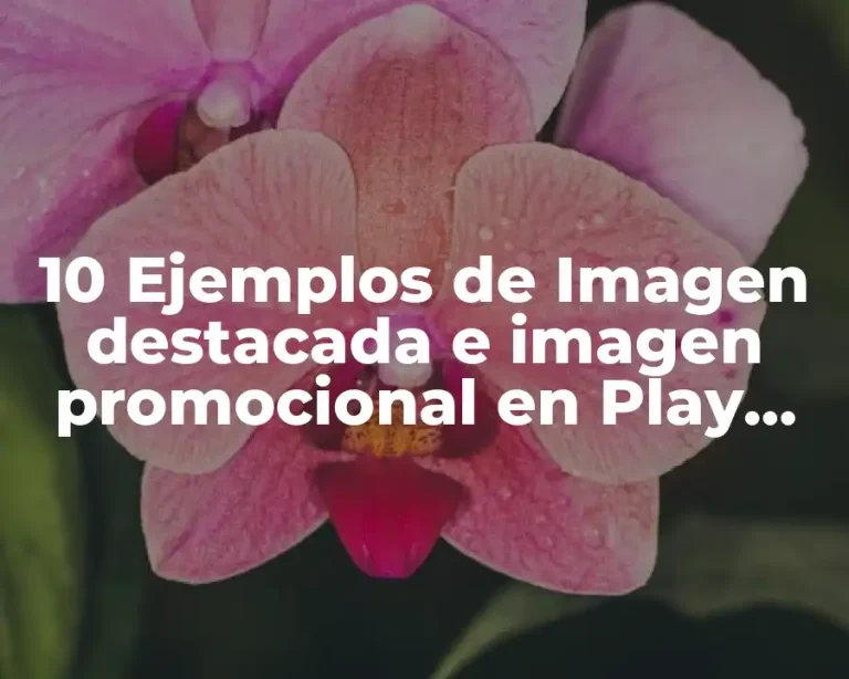 10 Ejemplos de Imagen destacada e imagen promocional en Play Store