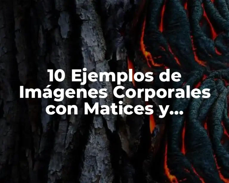 10 Ejemplos de Imágenes Corporales con Matices y Sombreado para Dibujar