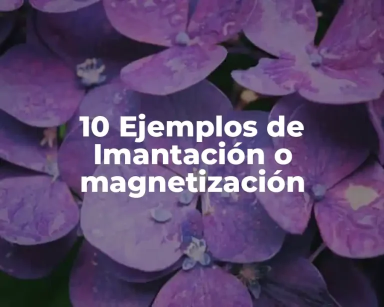 10 Ejemplos de Imantación o magnetización