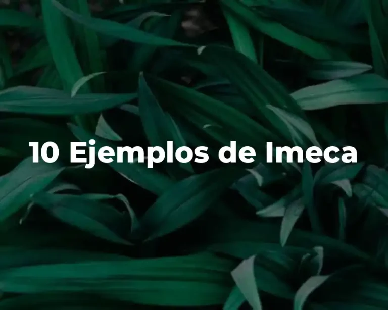 10 Ejemplos de Imeca