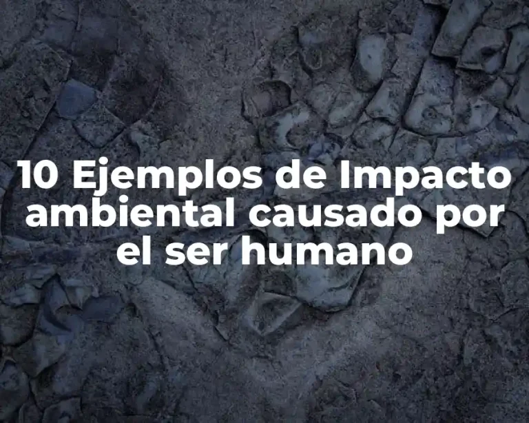 10 Ejemplos de Impacto ambiental causado por el ser humano