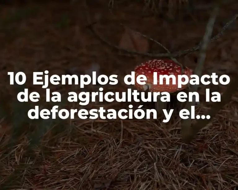 10 Ejemplos de Impacto de la agricultura en la deforestación y el cambio climático
