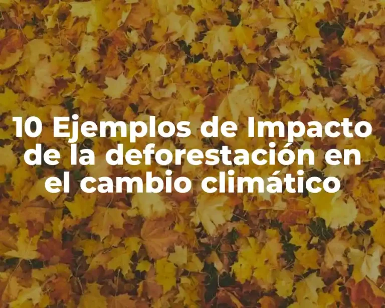 10 Ejemplos de Impacto de la deforestación en el cambio climático