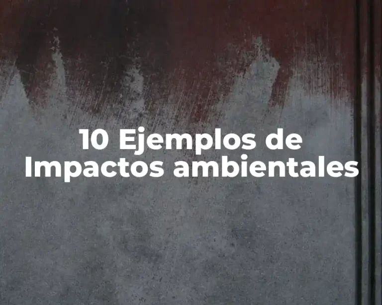 10 Ejemplos de Impactos ambientales