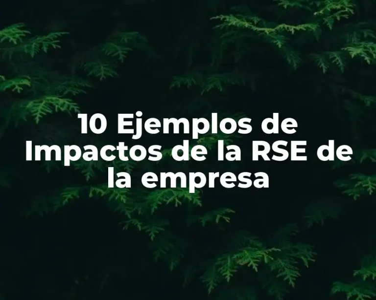10 Ejemplos de Impactos de la RSE de la empresa