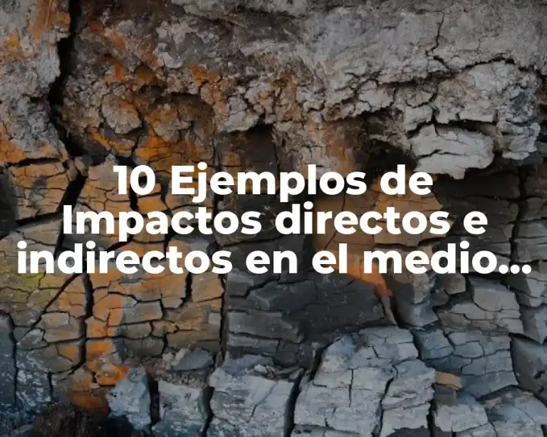 10 Ejemplos de Impactos directos e indirectos en el medio ambiente