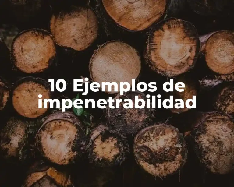 10 Ejemplos de impenetrabilidad