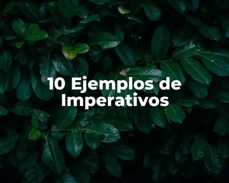 10 Ejemplos de Imperativos