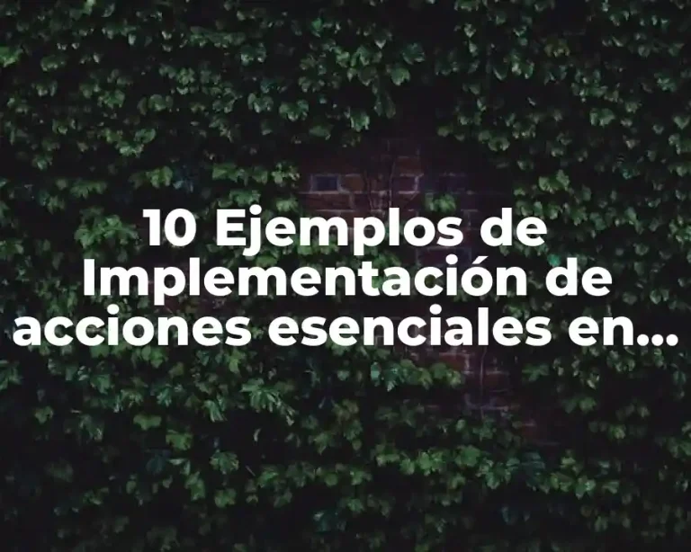 10 Ejemplos de Implementación de acciones esenciales en seguridad del paciente
