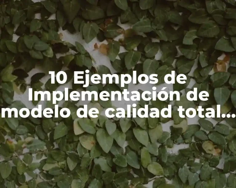 10 Ejemplos de Implementación de modelo de calidad total en una organización