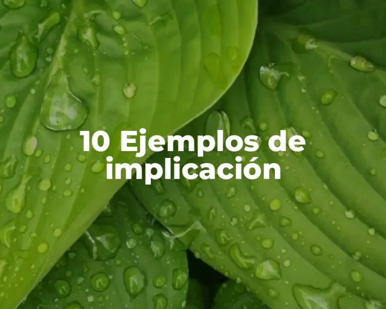 10 Ejemplos de implicación