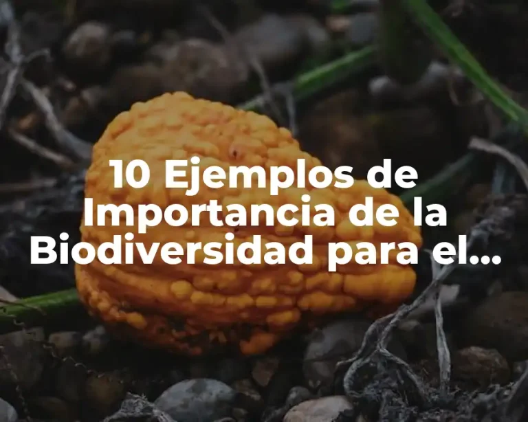 10 Ejemplos de Importancia de la Biodiversidad para el Equilibrio Ecosistémico