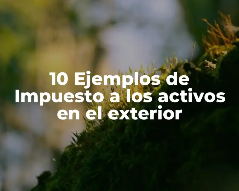 10 Ejemplos de Impuesto a los activos en el exterior
