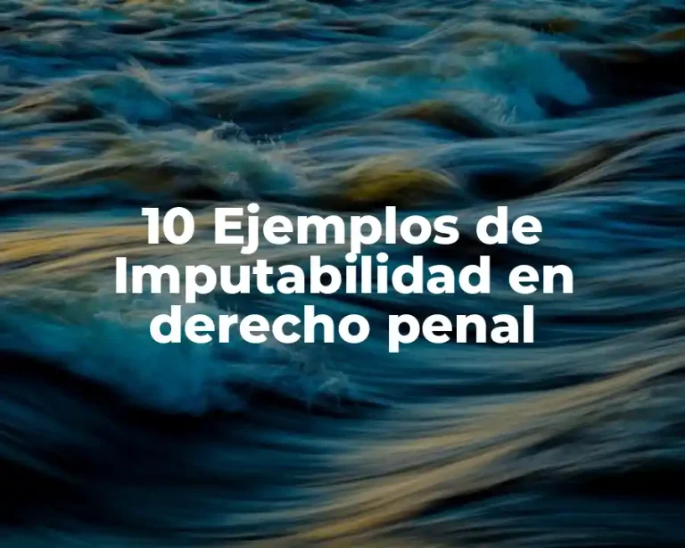 10 Ejemplos de Imputabilidad en derecho penal