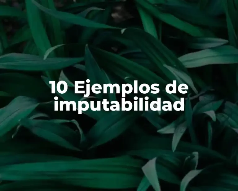 10 Ejemplos de imputabilidad