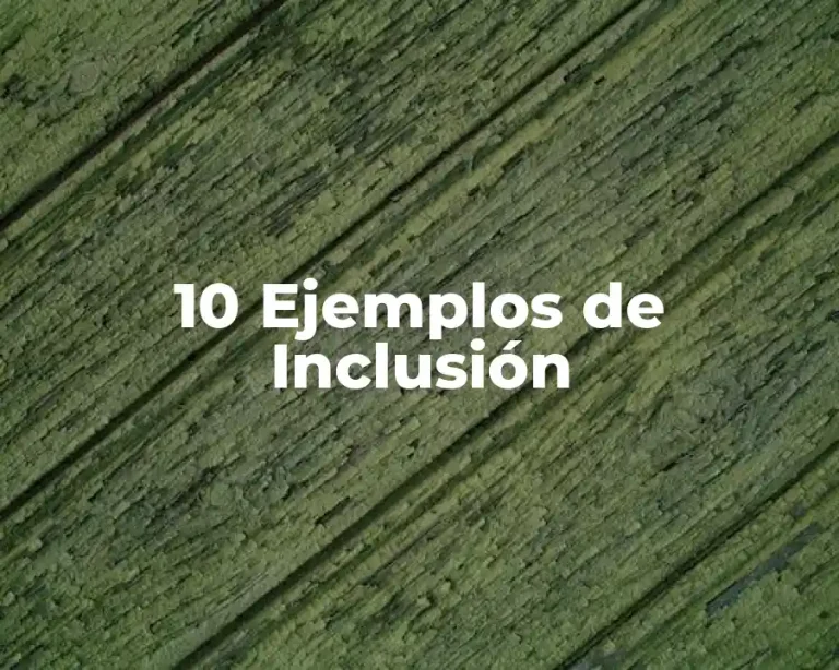 10 Ejemplos de Inclusión