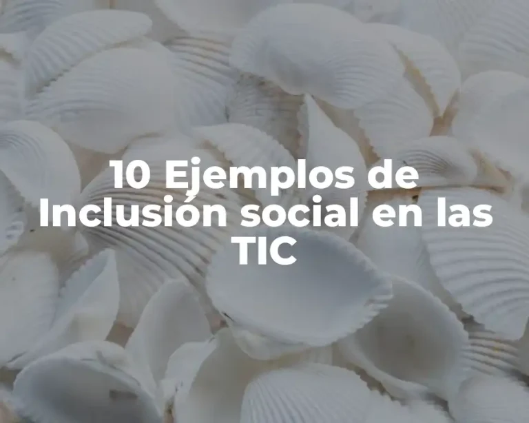 10 Ejemplos de Inclusión social en las TIC