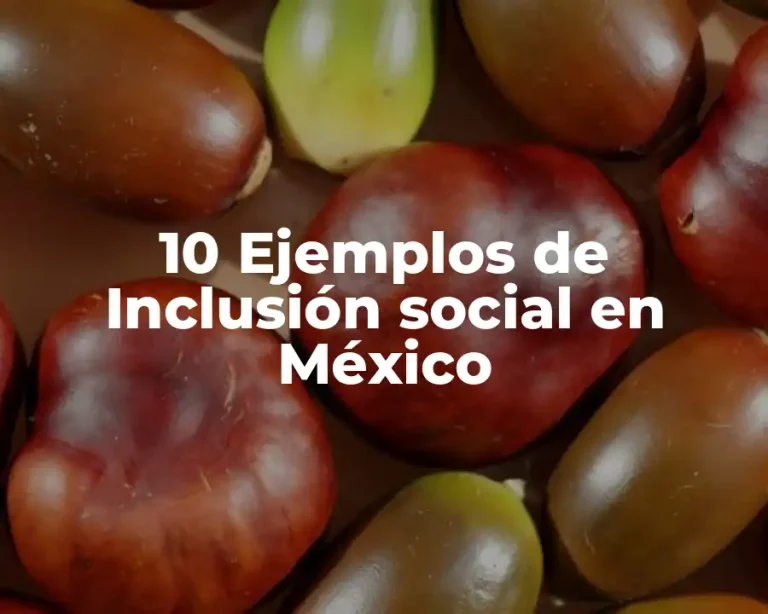 10 Ejemplos de Inclusión social en México