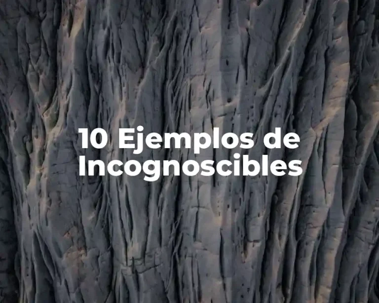 10 Ejemplos de Incognoscibles