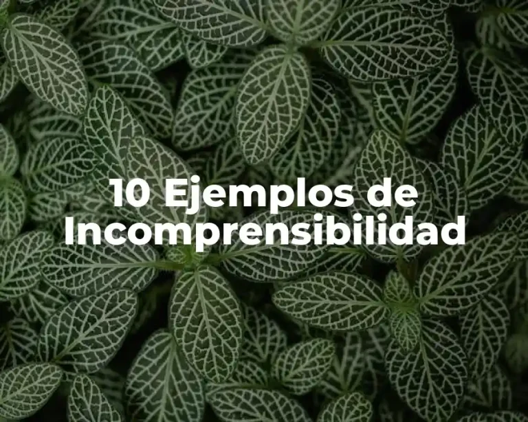 10 Ejemplos de Incomprensibilidad