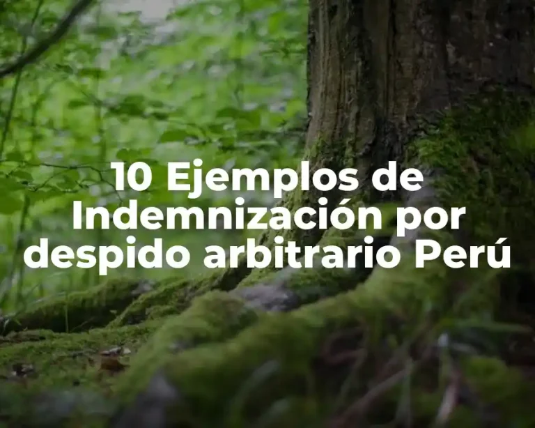 10 Ejemplos de Indemnización por despido arbitrario Perú