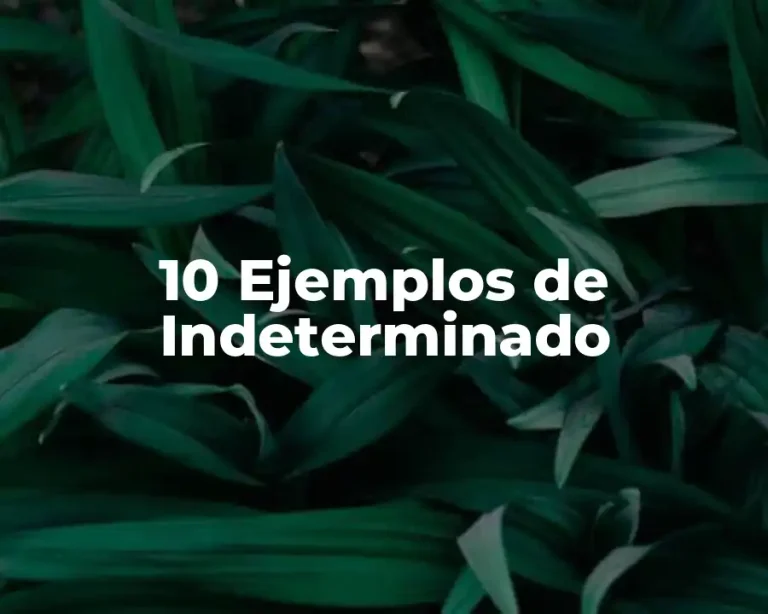 10 Ejemplos de Indeterminado