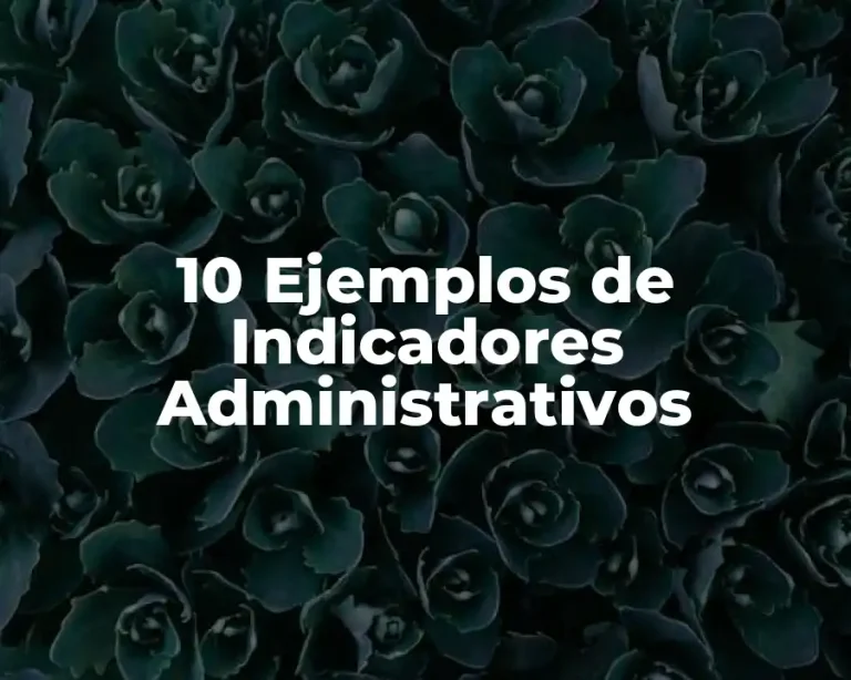 10 Ejemplos de Indicadores Administrativos