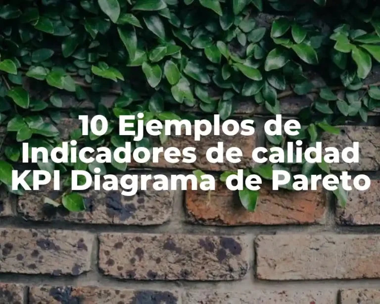 10 Ejemplos de Indicadores de calidad KPI Diagrama de Pareto