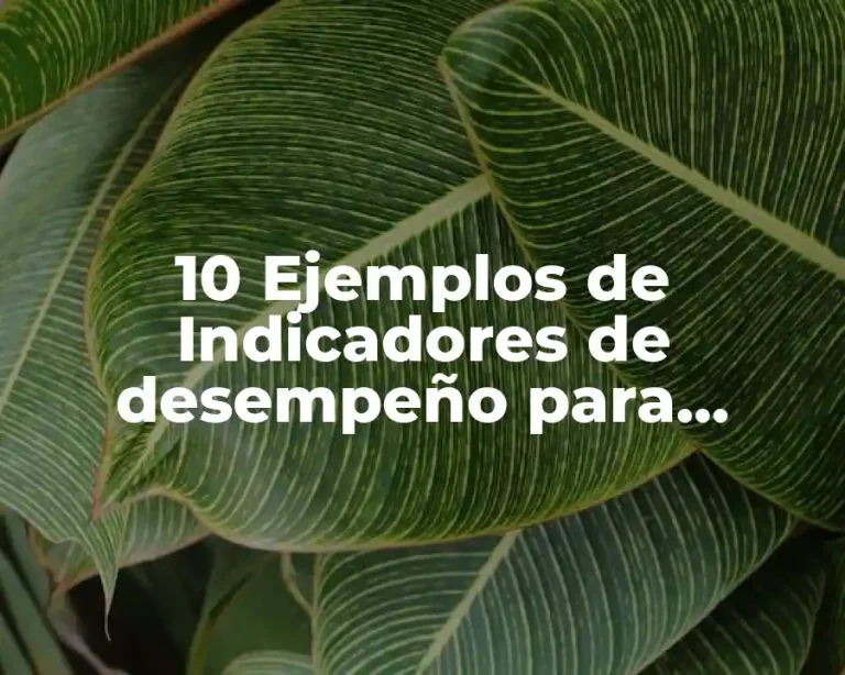 10 Ejemplos de Indicadores de desempeño para generales para un preescolar
