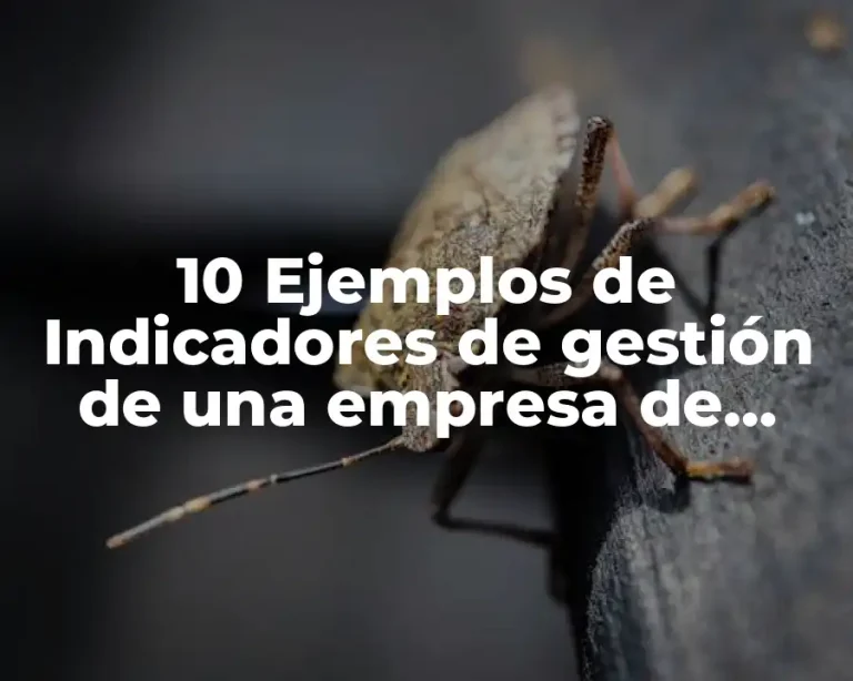 10 Ejemplos de Indicadores de gestión de una empresa de producción