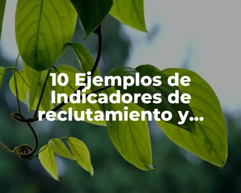 10 Ejemplos de Indicadores de reclutamiento y selección excel