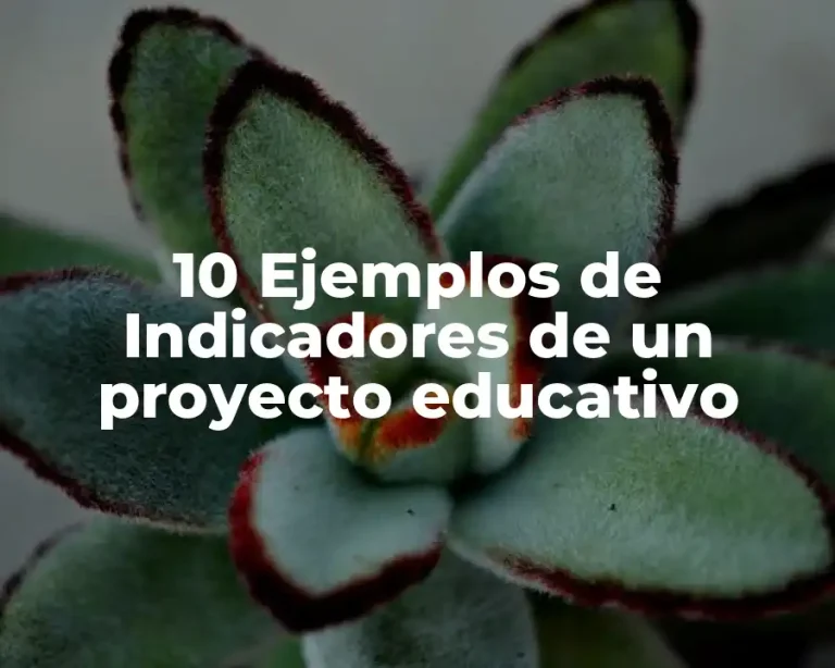 10 Ejemplos de Indicadores de un proyecto educativo