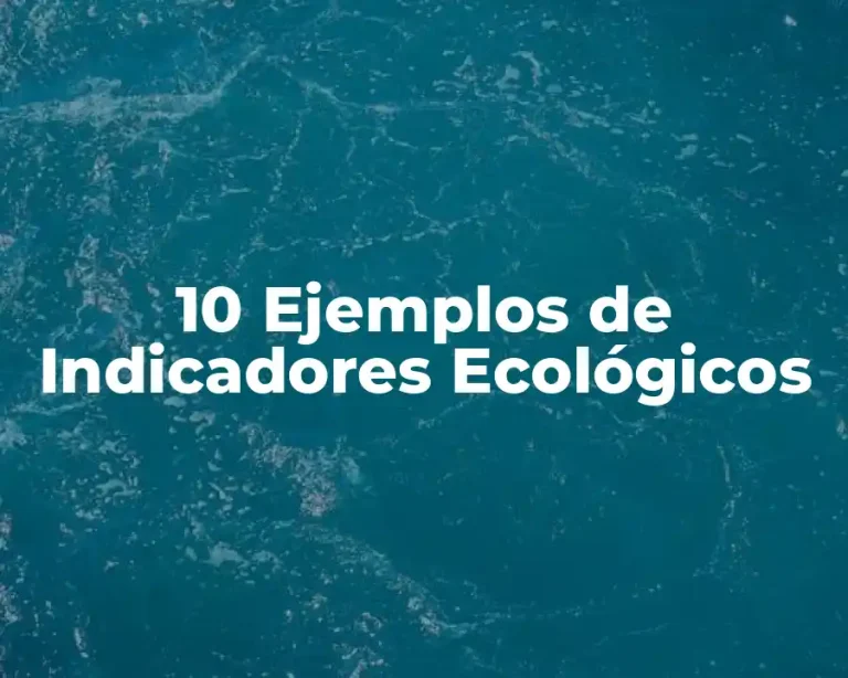 10 Ejemplos de Indicadores Ecológicos