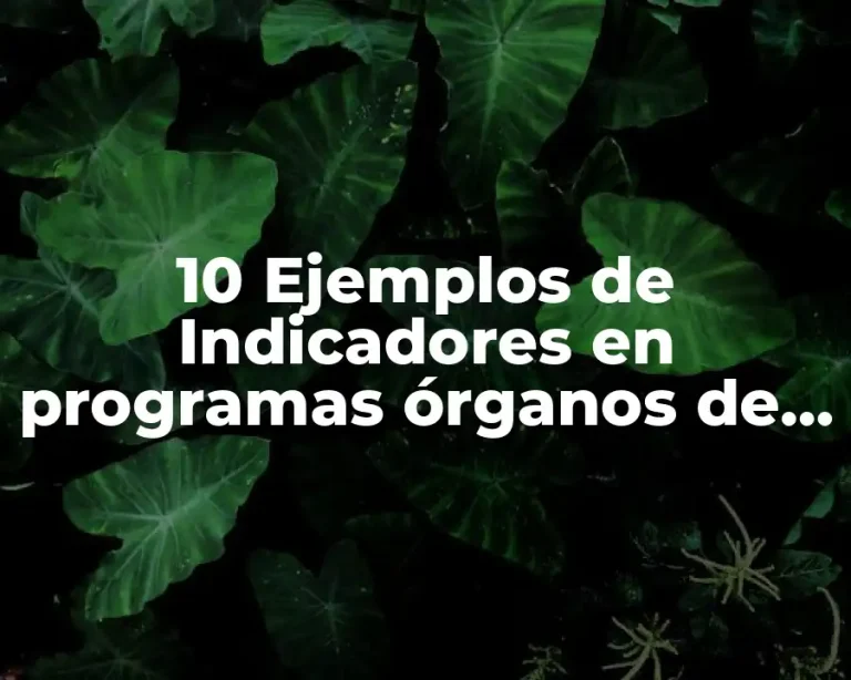 10 Ejemplos de Indicadores en programas órganos de seguridad de México