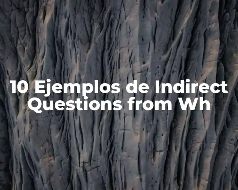 10 Ejemplos de Indirect Questions from Wh