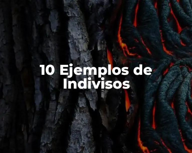 10 Ejemplos de Indivisos