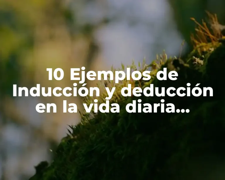 10 Ejemplos de Inducción y deducción en la vida diaria, Definición, Diferencias y para que sirve