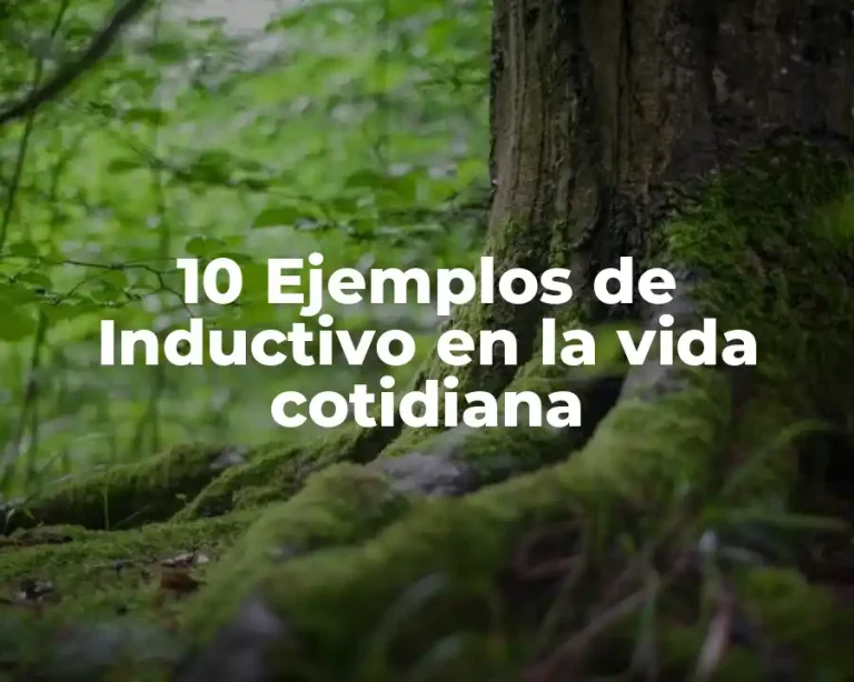 10 Ejemplos de Inductivo en la vida cotidiana