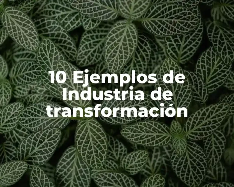 10 Ejemplos de Industria de transformación