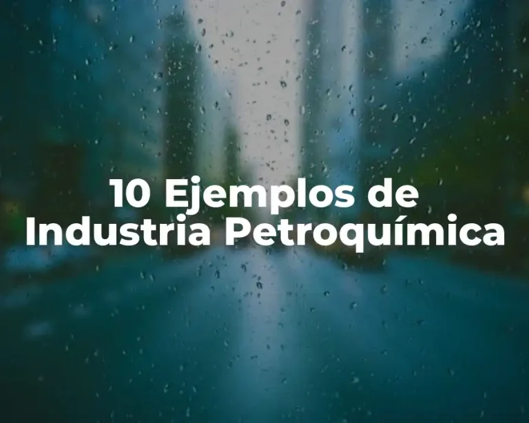 10 Ejemplos de Industria Petroquímica