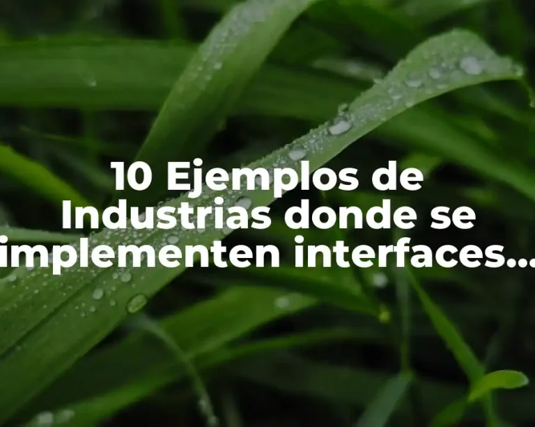 10 Ejemplos de Industrias donde se implementen interfaces hombre