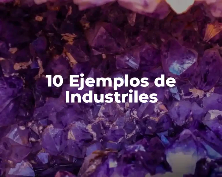 10 Ejemplos de Industriles