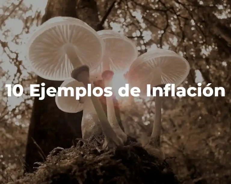 10 Ejemplos de Inflación