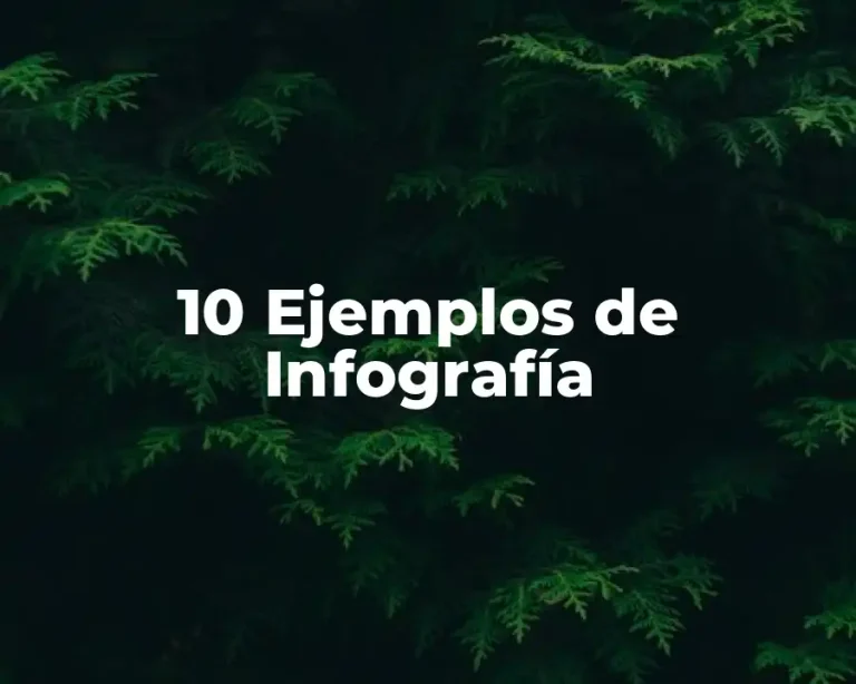 10 Ejemplos de Infografía