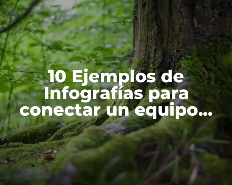 10 Ejemplos de Infografías para conectar un equipo instructivo