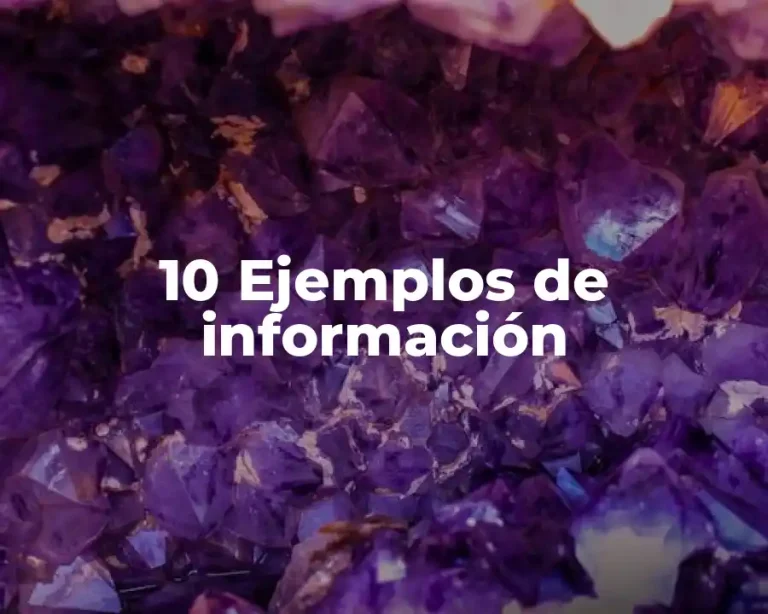 10 Ejemplos de información