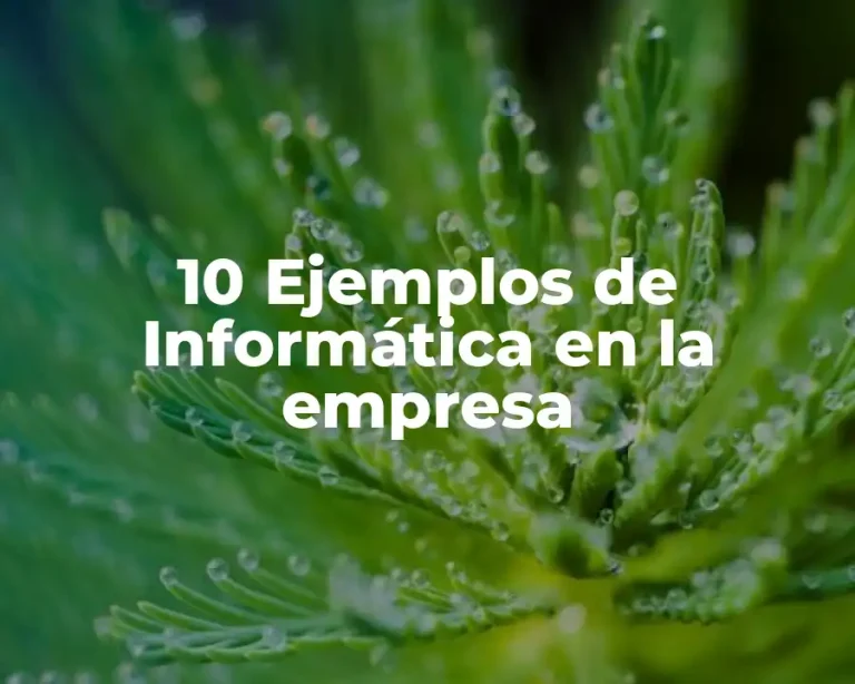 10 Ejemplos de Informática en la empresa
