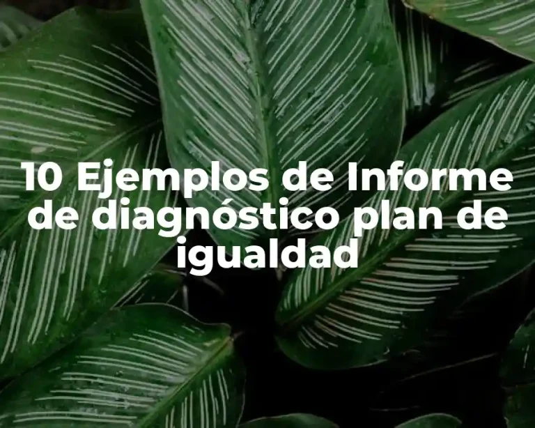 10 Ejemplos de Informe de diagnóstico plan de igualdad