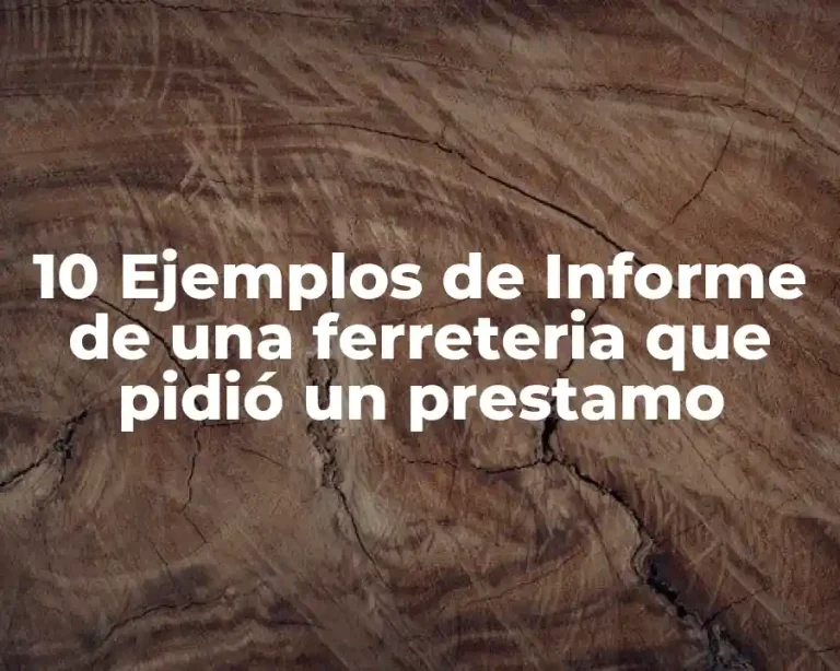10 Ejemplos de Informe de una ferreteria que pidió un prestamo
