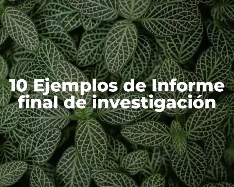 10 Ejemplos de Informe final de investigación